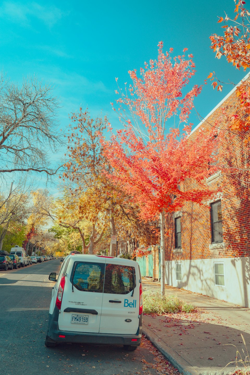 Service van parked on a street with autumn trees.